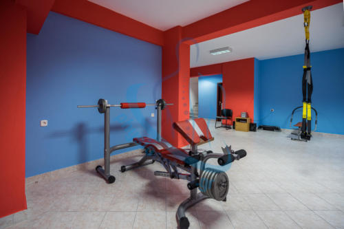 physionatsis-gym4